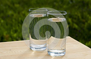 Two glasses of water on grass background photo