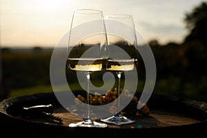 Two glasses of white wine with corkscrew and grapes on a wooden barrel after sunset