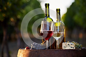 Two glasses of white wine and red with a bottle