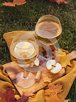 Two glasses with white wine stand on a wooden board