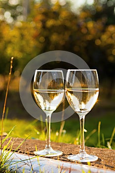 Two glasses of white wine