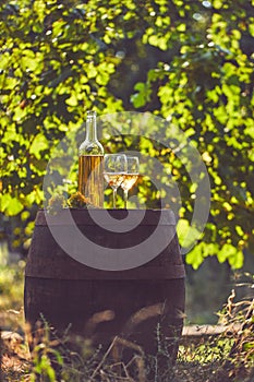 Two glasses of white wine on a wooden barrel