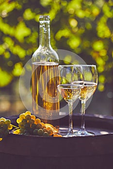 Two glasses of white wine on a wooden barrel