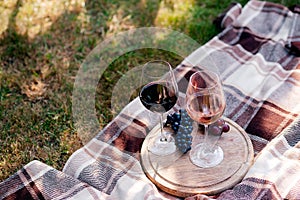 Two glasses of wine, picnic theme