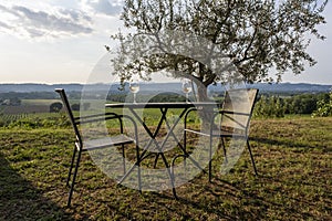 Two glasses of wine at sunset at a vineyard in tuscany