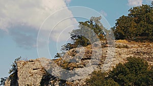 Two goats standing on the edge cliff of a rocky mountain