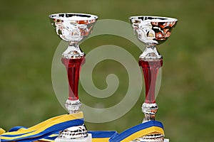 Two goblets