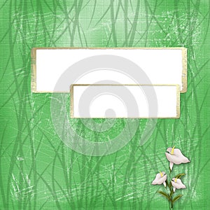 Two gold frame on the green abstract background