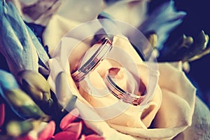 Two gold wedding rings among beautiful flowers, close-up