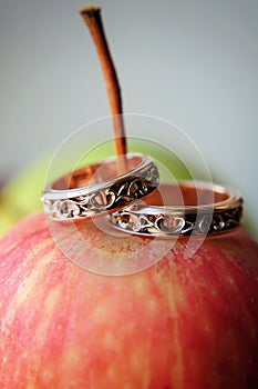 Two gold wedding rings on red apple, close-up. Vintage rings for bride and groom, selective focus. Concept of the wedding party