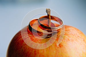 Two gold wedding rings on red apple, close-up. Vintage rings for bride and groom, selective focus. Concept of the wedding party