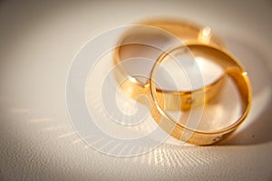 Two gold wedding rings on white background. Wedding