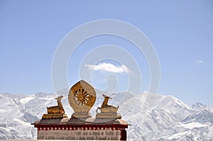 Two golden deer flanking a Dharma wheel and snow mountain photo