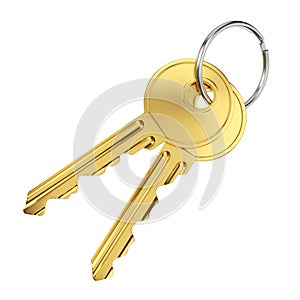 Two golden door keys