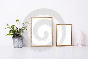 Two golden frames mock-up
