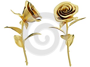 Two golden roses isolated on a white background