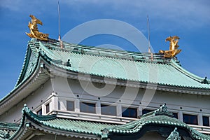 Two golden shachi (kinshachi) on either end of the topmost Nagoya castle roof. Nagoya. Japan