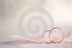 Two Golden Wedding Rings and Feather - gentle background