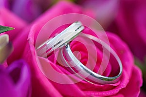 Two golden wedding rings white gold laying in the Bridal Bouquet on beautiful pink rose flower background.