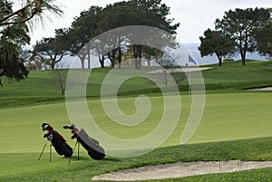 Two golf bags on the Golf Course