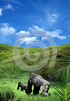 Two gorillas walking on green landscape