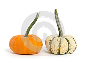Two Gourds Isolated on White