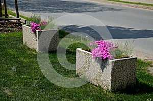 Two gray flower pots at the parkting on the terrace with an artificial  reminiscent of a lawn. in a pot there are grases and purpl