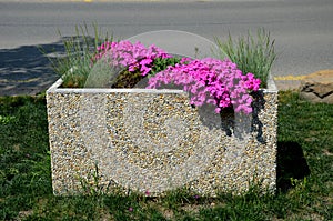 Two gray flower pots at the parkting on the terrace with an artificial  reminiscent of a lawn. in a pot there are grases and purpl