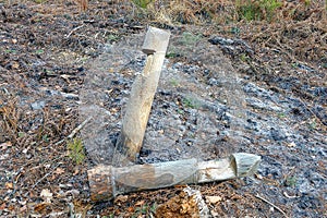 Two gray wooden signal poles on the ground