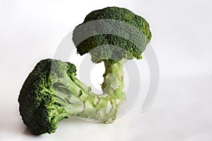 Two green broccoli on white background