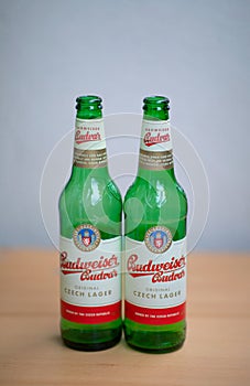 Two green empty Budweiser beer bottles.