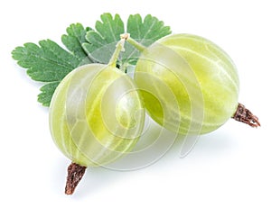 Two green ripe gooseberries with leves on white background. Close-up photo