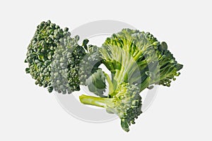 Two green slices of broccoli cabbage on a white isolated background. Two broccoli florets