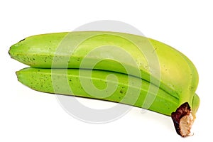 Two green unripe bananas isolated on white background