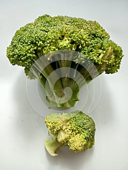 two green and very fresh broccoli sized large and small on a white background