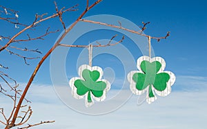 Two green wooden shamrocks hanging from tree branches