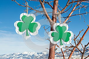 Two green wooden shamrocks hanging from tree branches with snow covered mountains in the distance