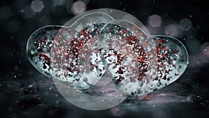 Two Grey Noir Ice Glass Hearts with red petals motion background Loop 4k