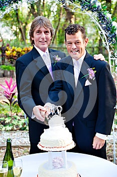 Two Grooms Cutting Cake at Their Wedding