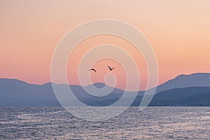 Two gulls over the sea at sunset