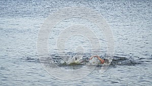 Two guys competing in speed swim in the lake