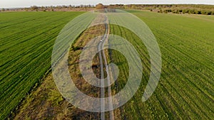 Two guys and young female run along country road between agricultural fields