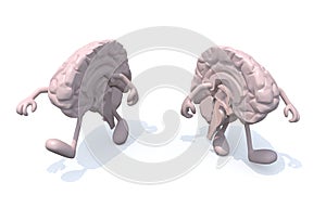 Two half brains that walk