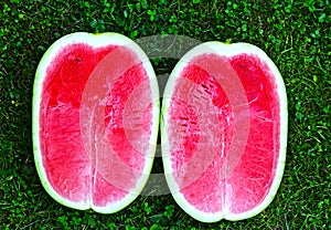 Two half ripe water melon close up photo on grass