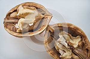 Two half walnuts on a light background