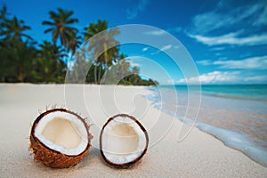 Two halfs of coconut fruits against sea at the tropical sand beach. Punta Cana