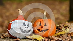 Two Halloween orange pumpkins