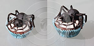 Two Halloween Spider Muffins