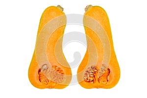 Two halves of butternut squash isolated on white background