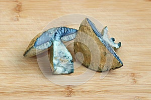 Two halves of the edible mushroom Gyroporus cyanescens are lying on a wooden cutting board.